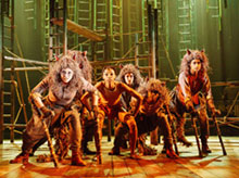 Keziah Joseph 'Mowgli' and company